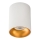 Spotlight RITI 1xGU10/10W/230V white/gold