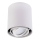 Spotlight SIROK 1xGU10/30W/230V white