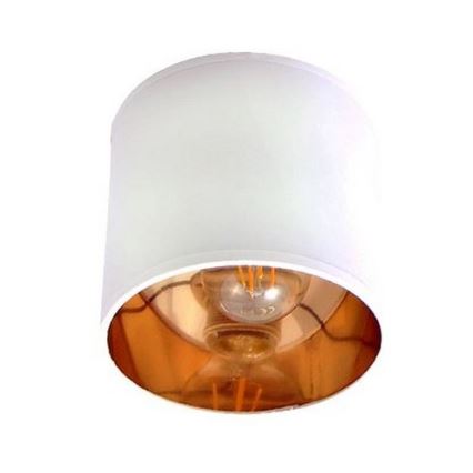 Spotlight SOFIA 3xE27/60W/230V white