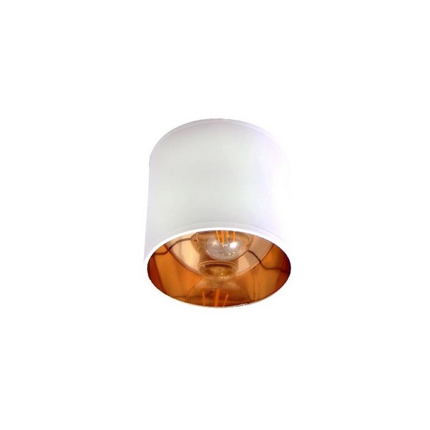 Spotlight SOFIA 3xE27/60W/230V white