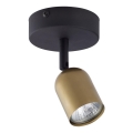 Spotlight TOP 1xGU10/10W/230V gold/black