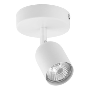 Spotlight TOP 1xGU10/10W/230V white