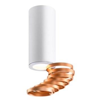 Spotlight TUBA 1xGU10/15W/230V white/copper