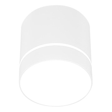 Spotlight TUBA 1xGU10/15W/230V white