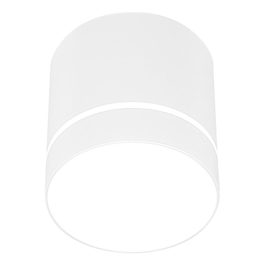 Spotlight TUBA 1xGU10/15W/230V white