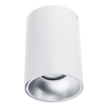 Spotlight TUBA 1xGU10/50W/230V white