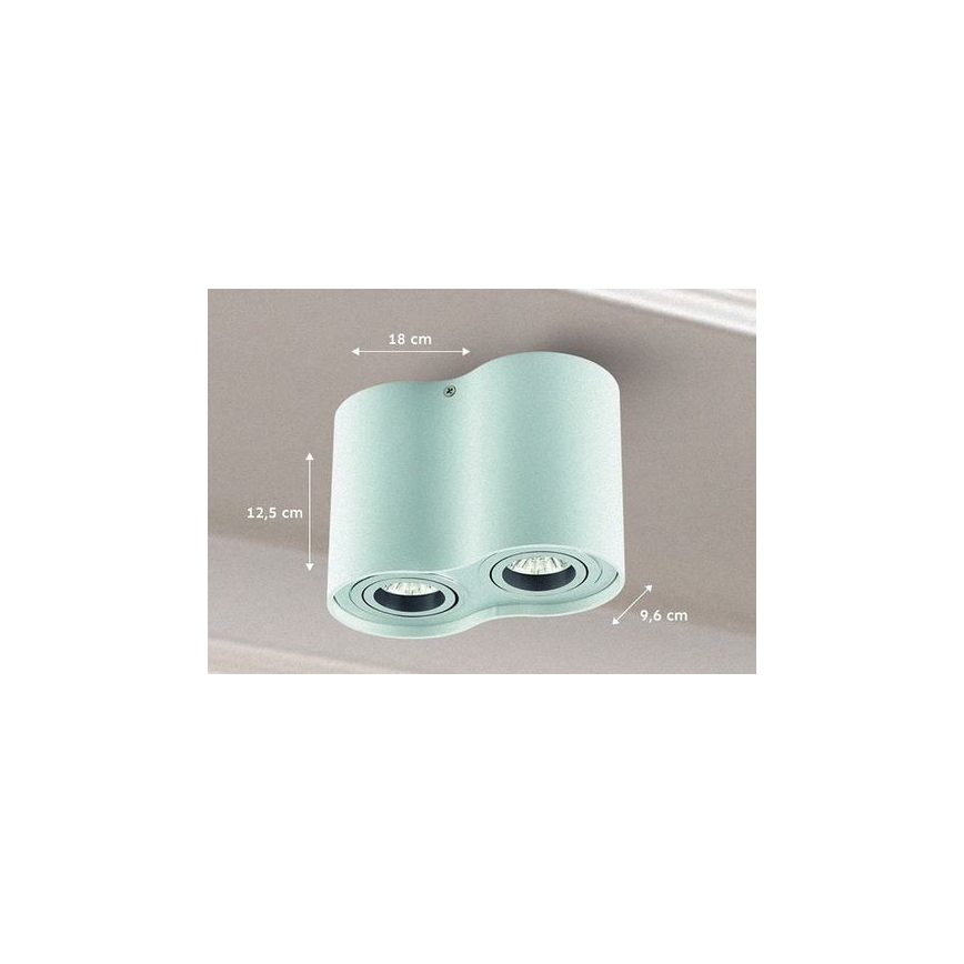 Spotlight TUBA 1xGU10/50W/230V white