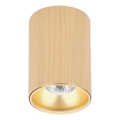 Spotlight TUBE 1x GU10/15W/230V beige