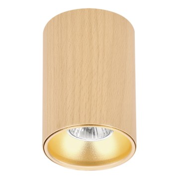 Spotlight TUBE 1x GU10/15W/230V beige