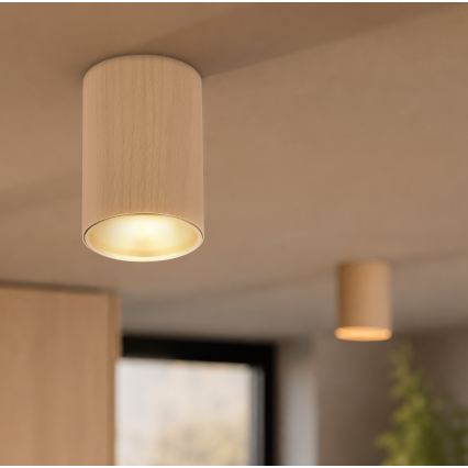 Spotlight TUBE 1x GU10/15W/230V beige