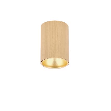 Spotlight TUBE 1x GU10/15W/230V beige