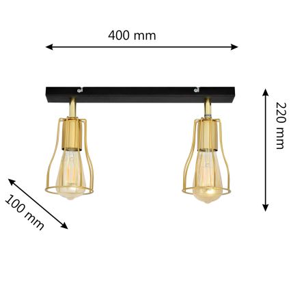 Spotlight TUBE 2xE27/15W/230V gold/black