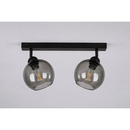 Spotlight UNO 2xE27/60W/230V black