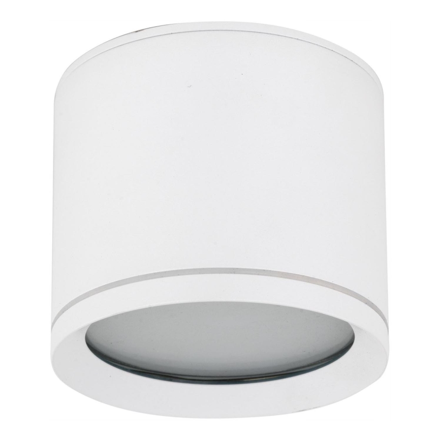 Spotlight VIVO 1xGX53/10W/230V 10 cm white