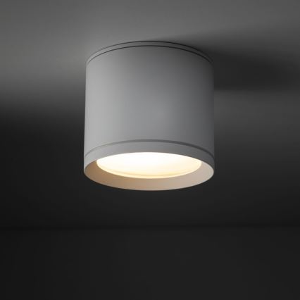 Spotlight VIVO 1xGX53/10W/230V 10 cm white