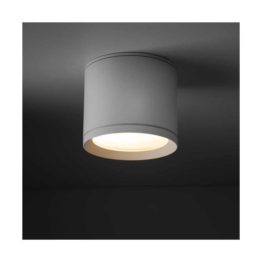 Spotlight VIVO 1xGX53/10W/230V 10 cm white