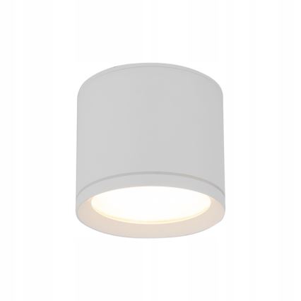 Spotlight VIVO 1xGX53/10W/230V 10 cm white