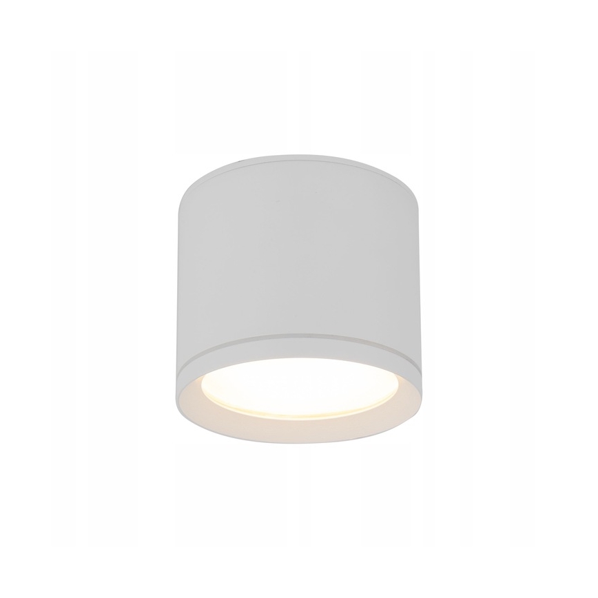 Spotlight VIVO 1xGX53/10W/230V 10 cm white