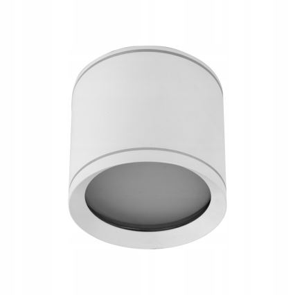 Spotlight VIVO 1xGX53/10W/230V 10 cm white