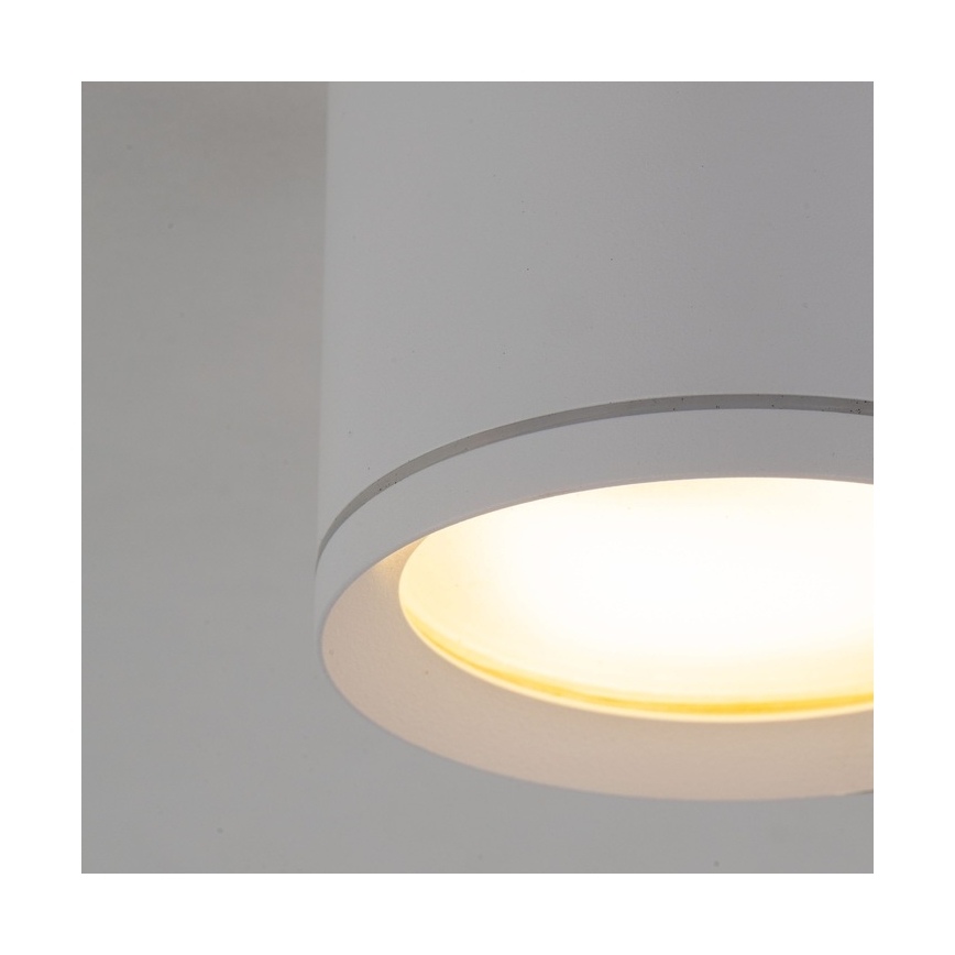 Spotlight VIVO 1xGX53/10W/230V 10 cm white