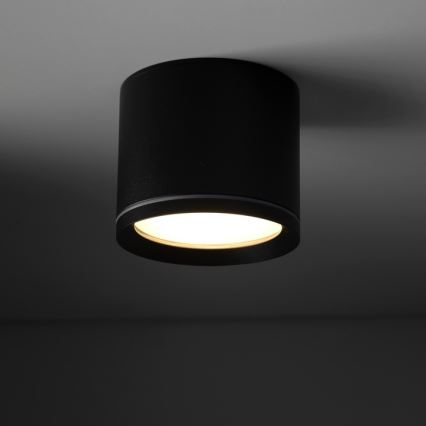 Spotlight VIVO 1xGX53/10W/230V 6 cm black