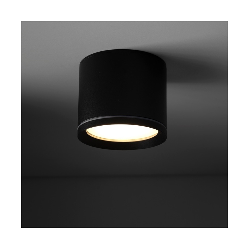 Spotlight VIVO 1xGX53/10W/230V 6 cm black