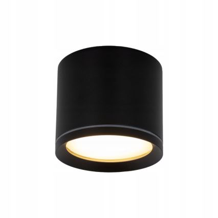 Spotlight VIVO 1xGX53/10W/230V 6 cm black