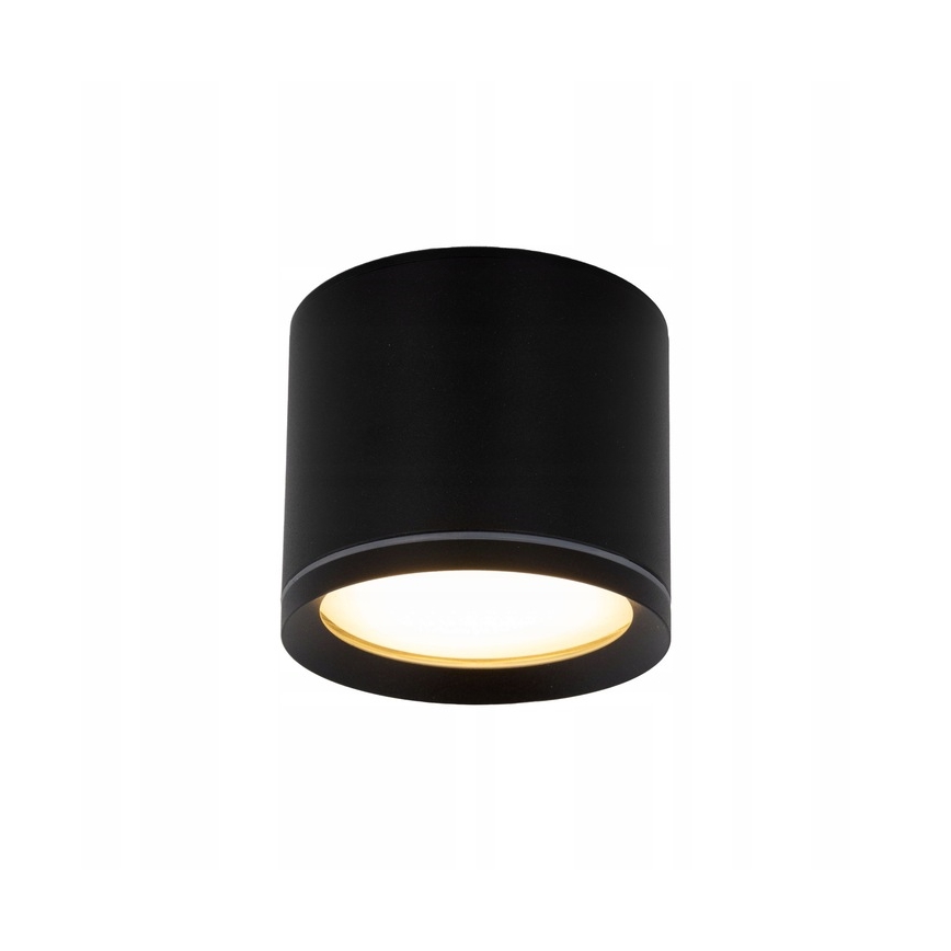 Spotlight VIVO 1xGX53/10W/230V 6 cm black