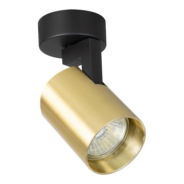 Spotlight VOLF 1xGU10/10W/230V gold/black
