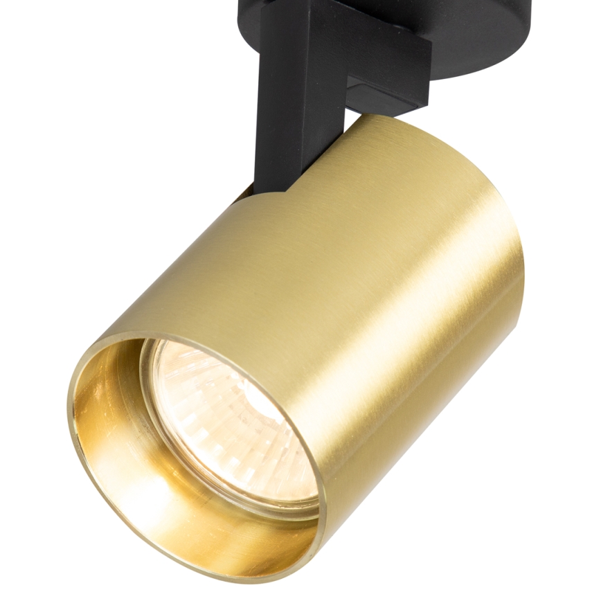 Spotlight VOLF 1xGU10/10W/230V gold/black