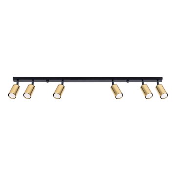 Spotlight WINX 6xGU10/10W/230V black/gold