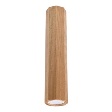 Spotlight ZEKE 1xGU10/40W/230V 30 cm oak