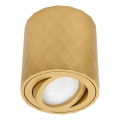 Spotlight ZOLA 1xGU10/30W/230V gold