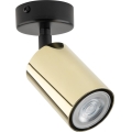 Spotlight ZOOM 1xGU10/10W/230V brass/black