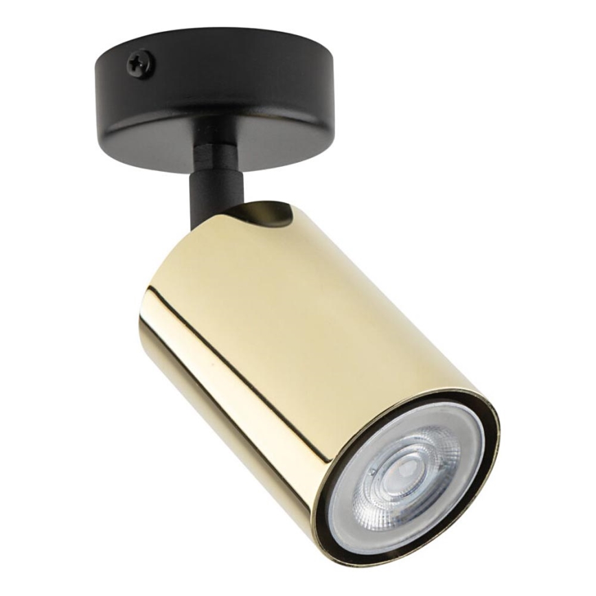 Spotlight ZOOM 1xGU10/10W/230V brass/black