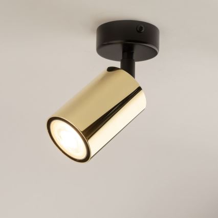Spotlight ZOOM 1xGU10/10W/230V brass/black