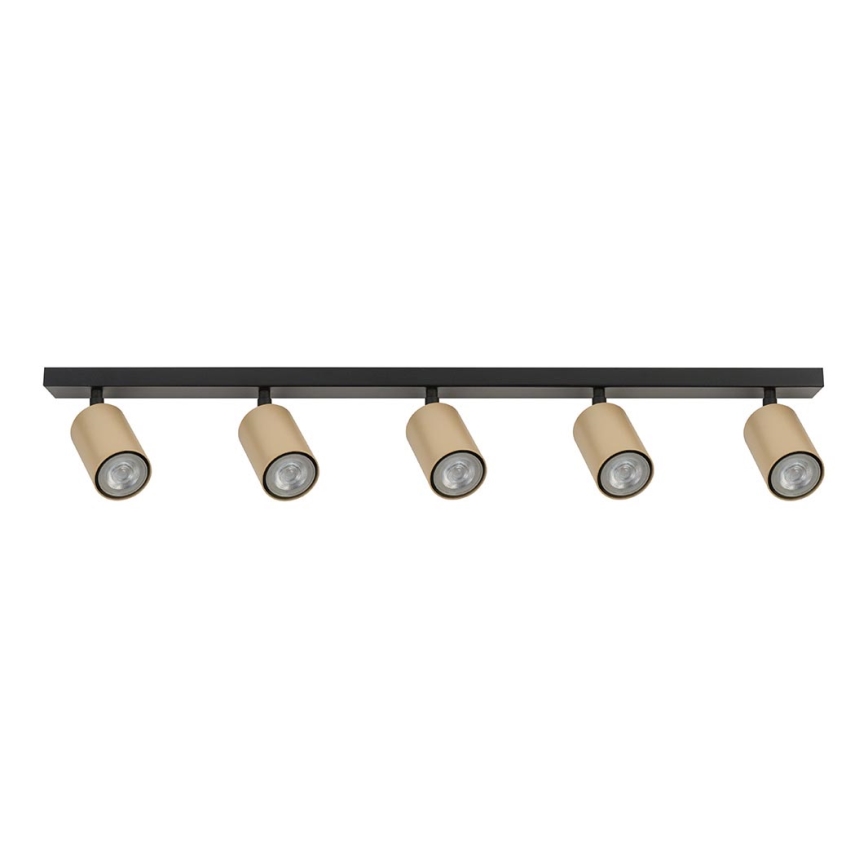 Spotlight ZOOM 5xGU10/25W/230V black/gold