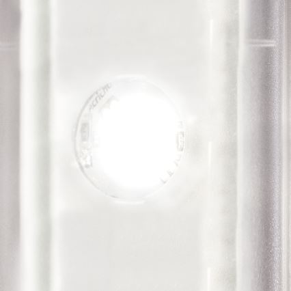 STEINEL 010461 - LED Outdoor light with a sensor L240LED LED/7,5W stainless steel IP44