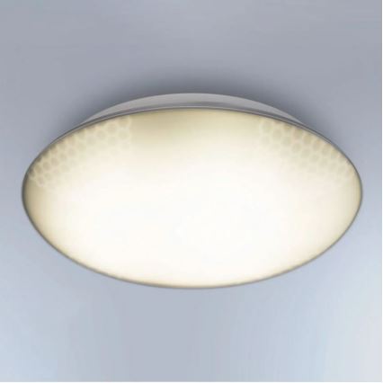 Steinel 035440 - LED Outdoor ceiling light with sensor QUATTRO LED/10W/230V IP54