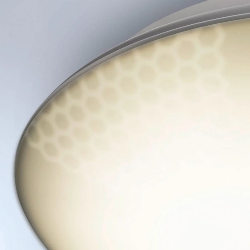 Steinel 035440 - LED Outdoor ceiling light with sensor QUATTRO LED/10W/230V IP54