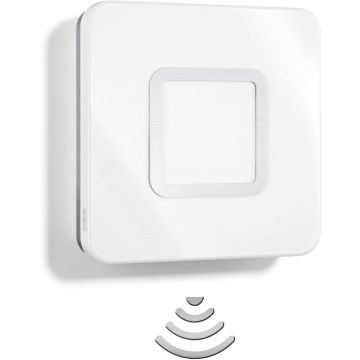 Steinel 052492 –⁠ LED Wall Light with Motion Detector RS LED M1 LED / 9.5 W / 230 V