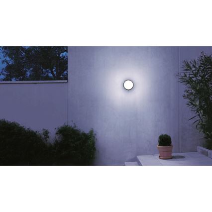 STEINEL 053079 - LED Outdoor wall light with a sensor L330 LED/9W/230V 3000K IP44