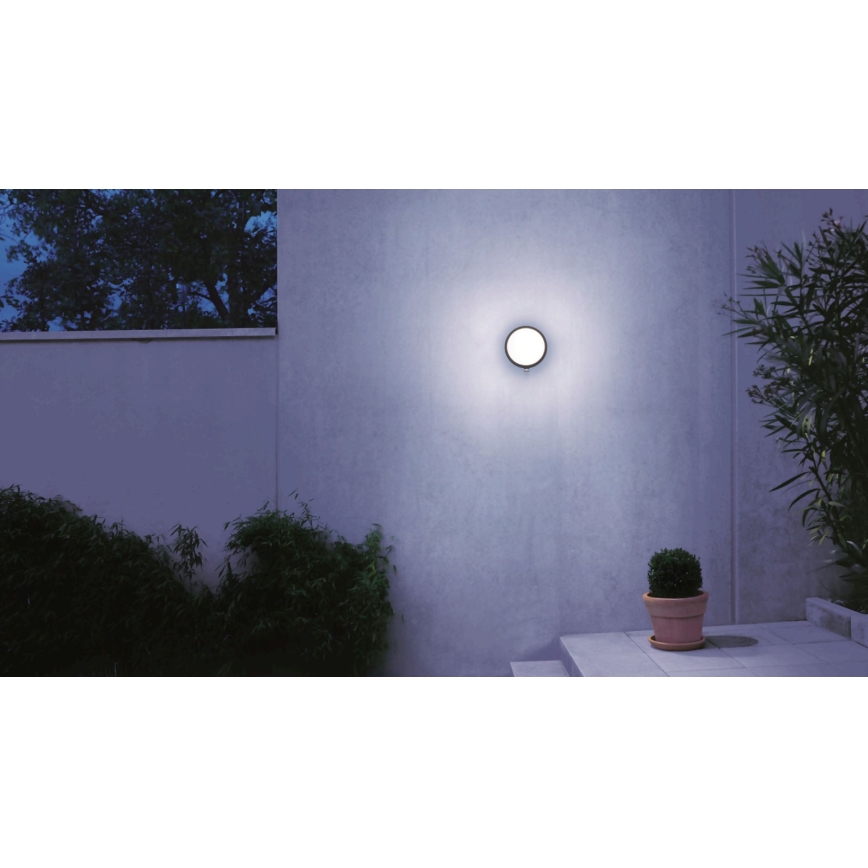 STEINEL 053079 - LED Outdoor wall light with a sensor L330 LED/9W/230V 3000K IP44