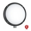 STEINEL 053079 - LED Outdoor wall light with a sensor L330 LED/9W/230V 3000K IP44