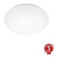 Steinel 056063 – Outdoor LED light with a Motion Detector RS PRO LED/9.5W/230V IP54