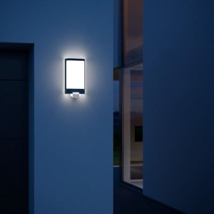 Steinel 056506 - LED Outdoor light with sensor L 240 LED/7,5W/230V IP44