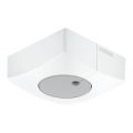 Steinel 057411 - Light sensor DUAL-E DALI2 angular white