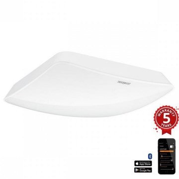 Steinel 057947 - Presence detector TRUE PRESENCE COM2 white