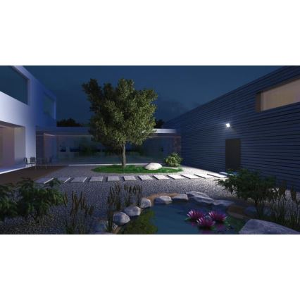 Steinel 065263 - LED Floodlight with a sensor XLED ONE XL S LED/42,6W/230V 3000K IP44 anthracite