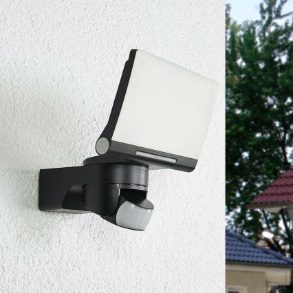 Steinel 065447 - LED Flood light with sensor XLED HOME LED/13,5W/230V IP44 black